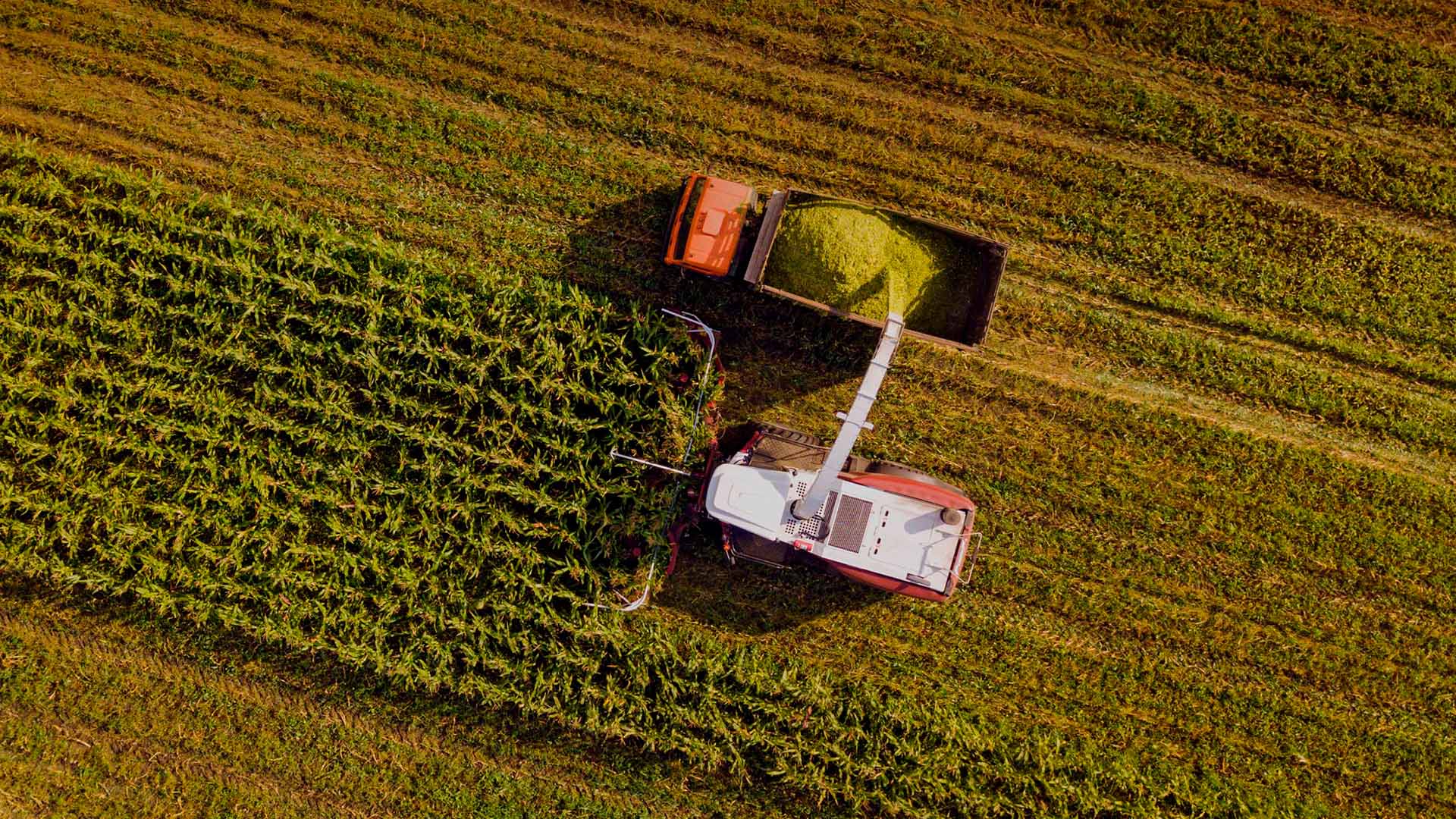 Серия F 2000 ?>