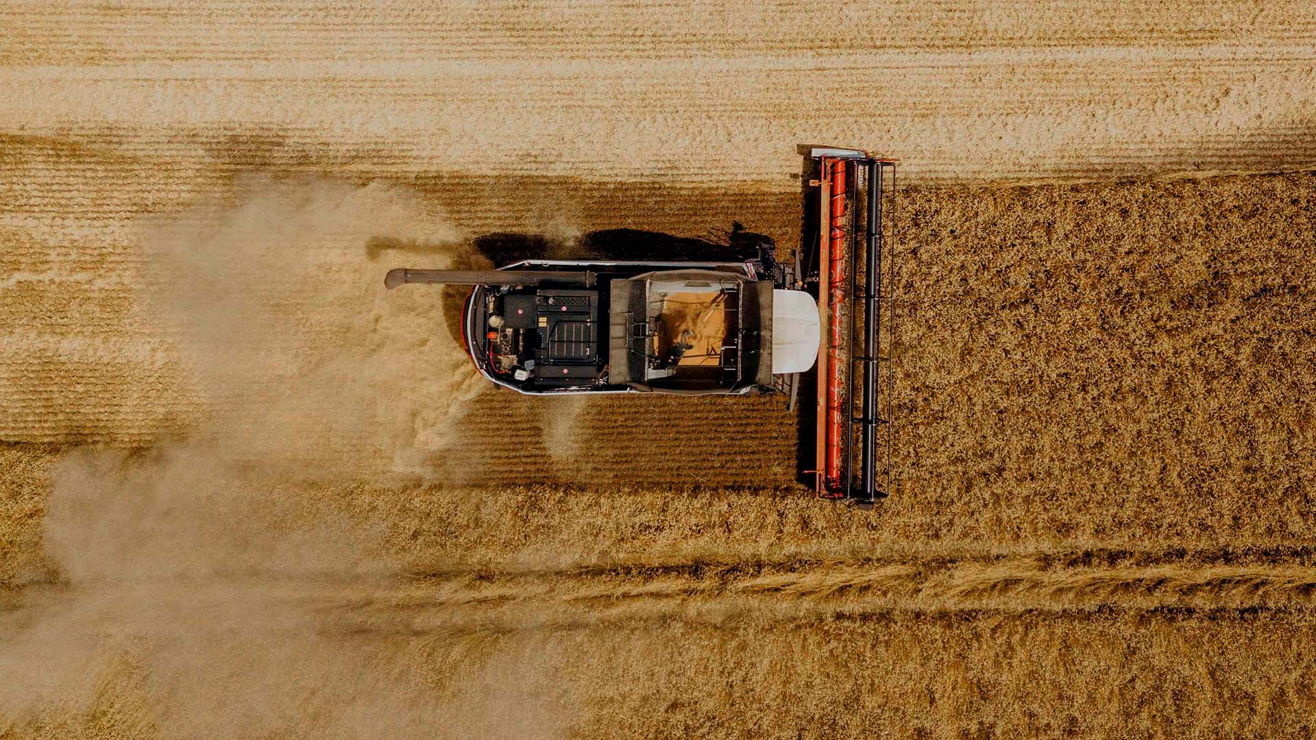 TORUM 785 полноприводный ?>