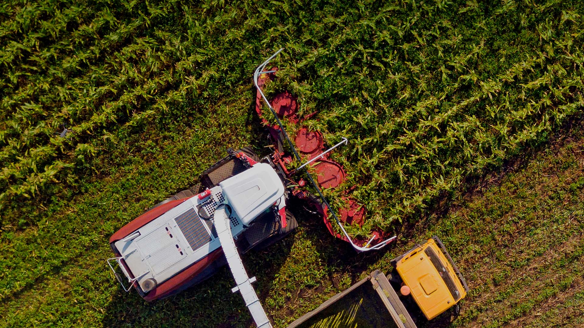 Жатки роторные навесные <br>Maize Header  450/ 600/ 750 ?>