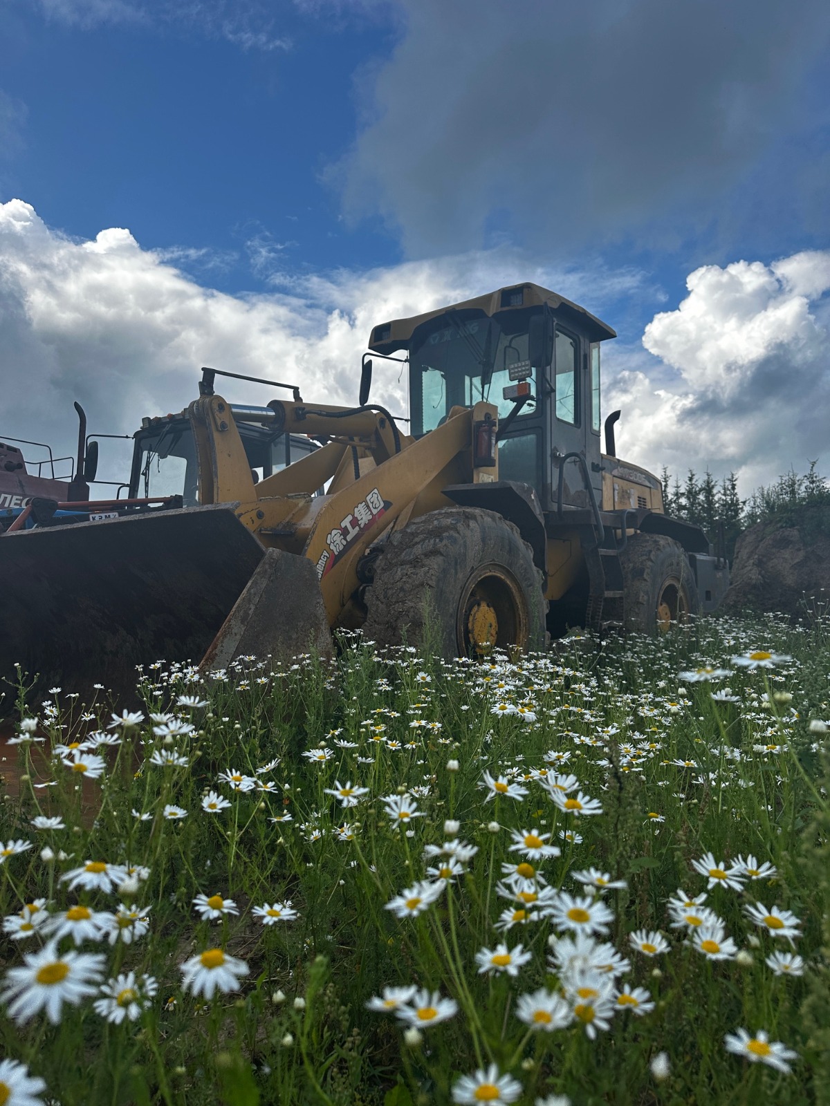 Погрузчик фронтальный XCMG LW300F 2013г